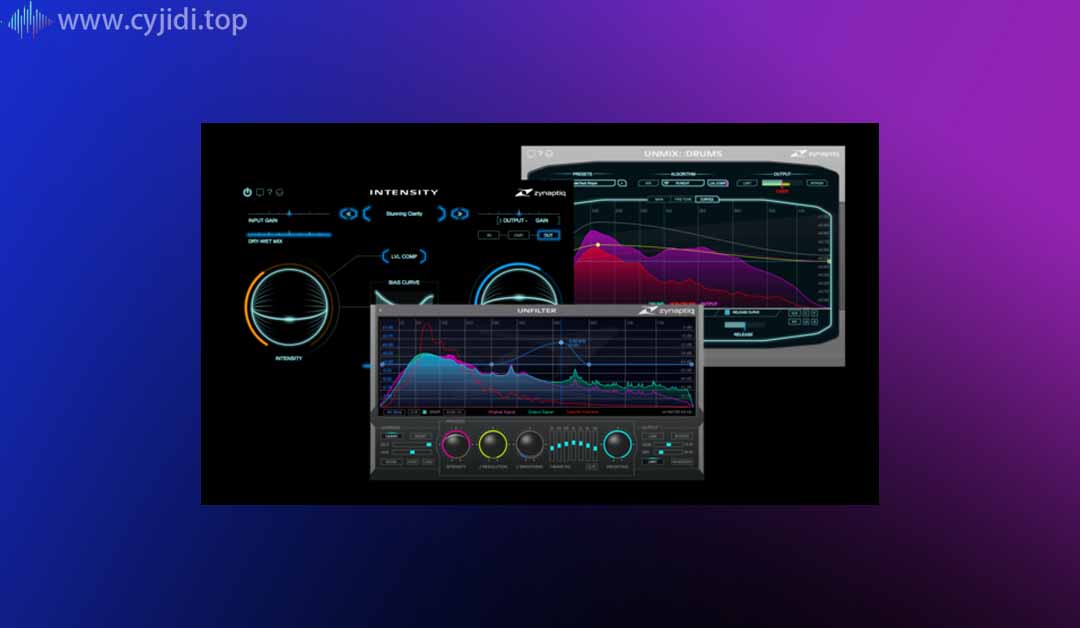 多功能插件集合-Zynaptiq – WiN
