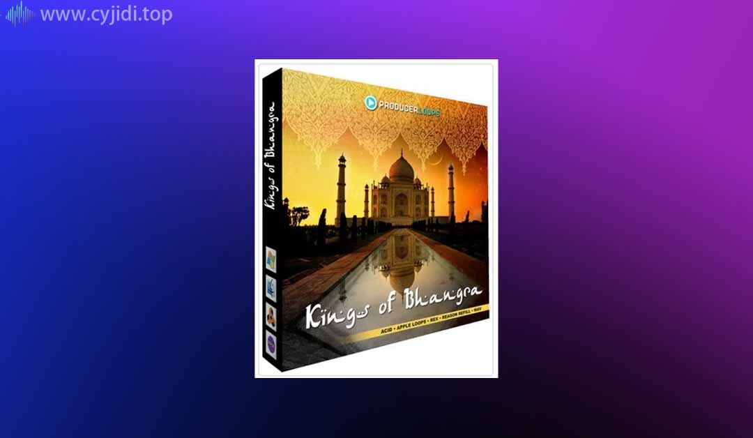 PL.Kings.of.Bhangra.Vol.3