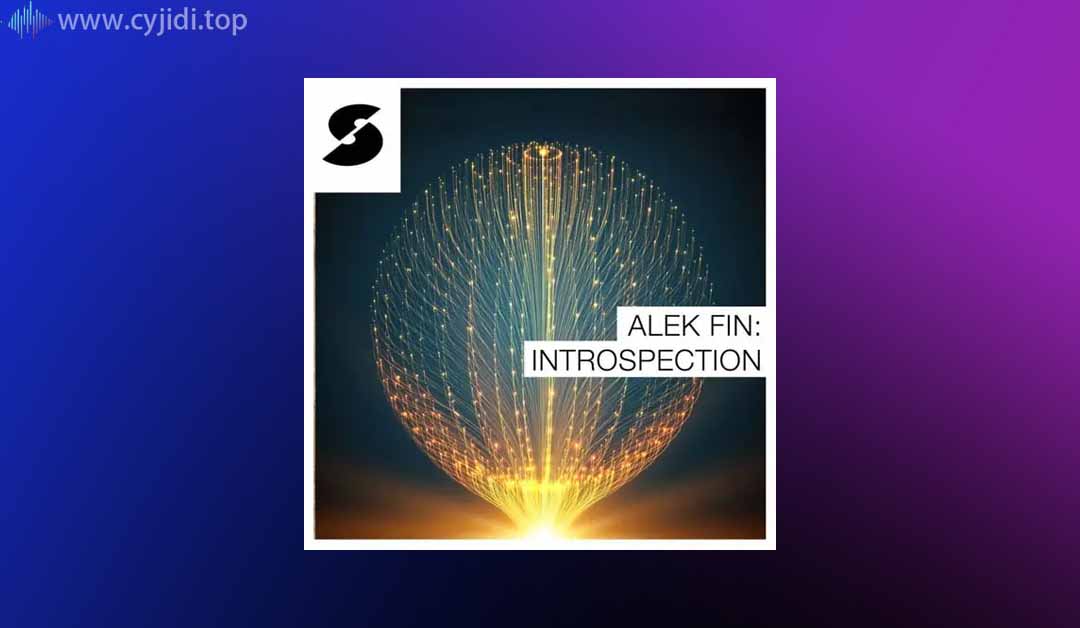 采样包-Samplephonics – Alek Fin Introspection WAV