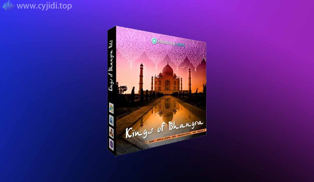 Producer Loops – bhangra  Vol.2