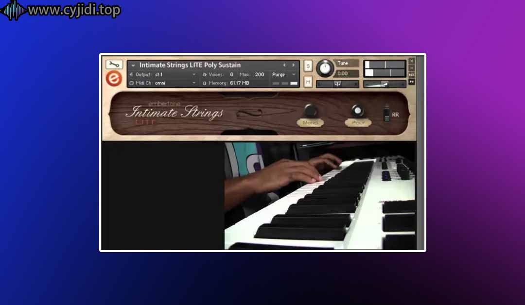 亲密琴弦 LITE – Embertone – （KONTAKT）