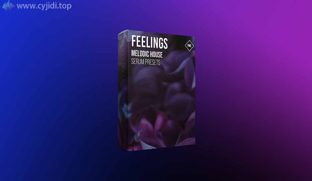 Music Live – Feelings： Melodic House-血清