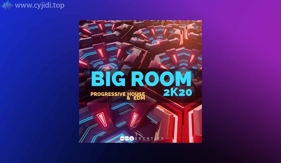 大房间 2K20采样包Loop – Audentity Records –（WAV、SERUM、SPIRE）