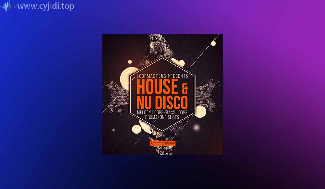 Loopmasters – House 和 Nu Disco-采样包