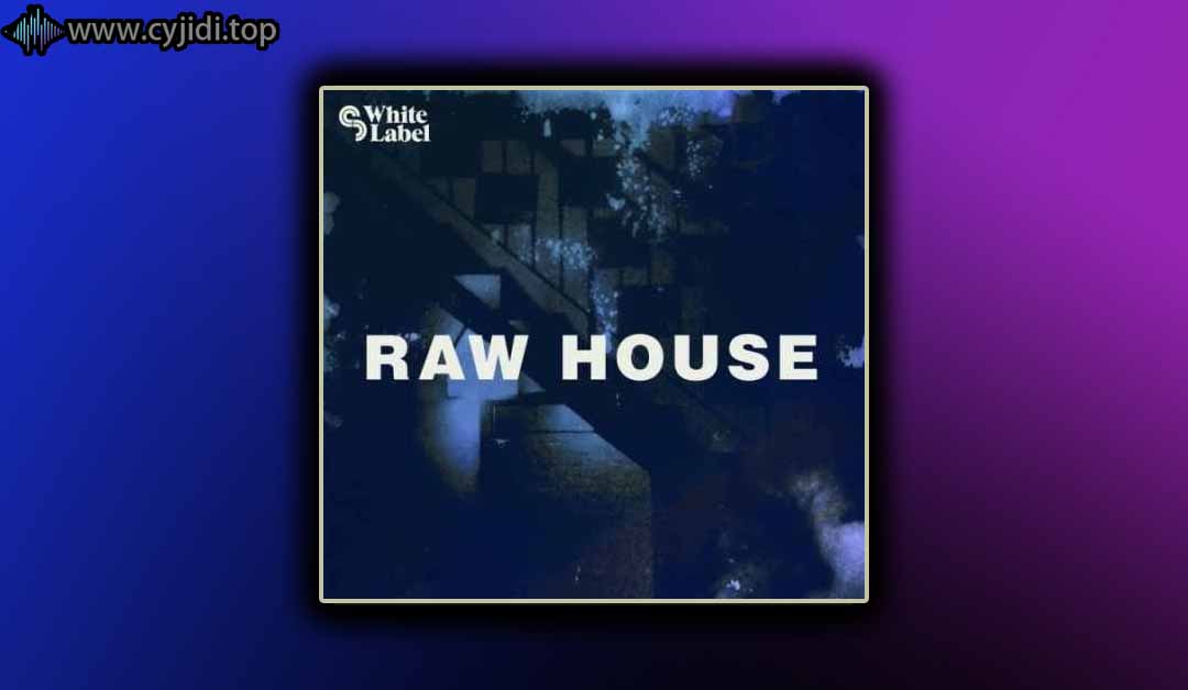 SM 白标 – Raw House 预设（WAV、MIDI、REX、AIFF、KONTAKT、SYNTH）