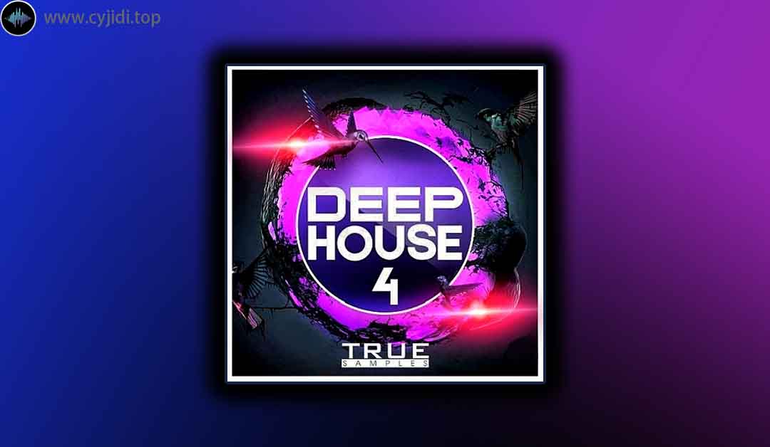 采样 – Deep House 4 （MIDI， WAV， SPiRE）