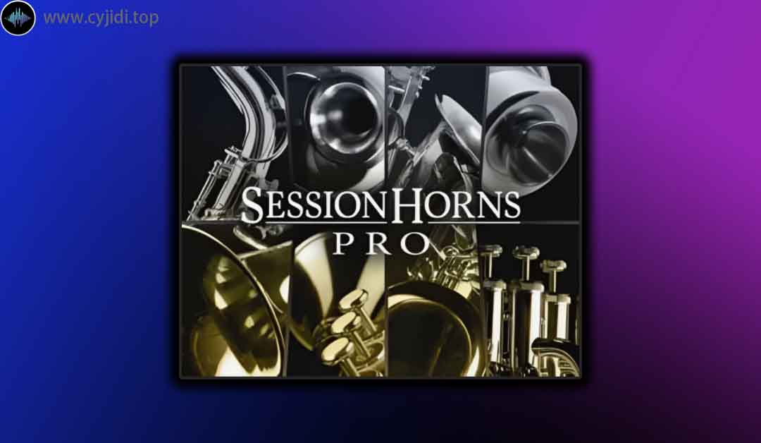 Native Instruments – SESSION 圆号专业版管弦 v1.5.0 （KONTAKT）
