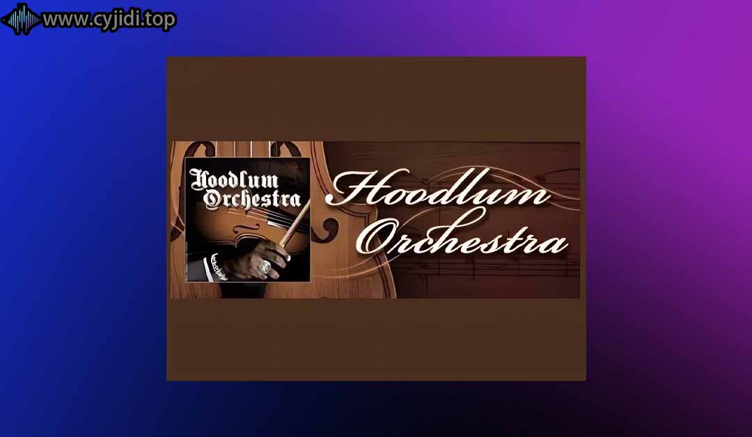 PatchBanks  Sound Co – Hoodlum Orchestra 采样包 （WAV）