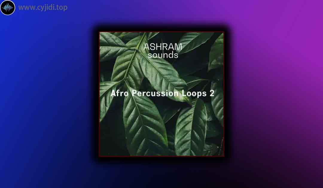采样 – Riemann Kollektion – ASHRAM Afro 打击乐循环 2 （WAV）