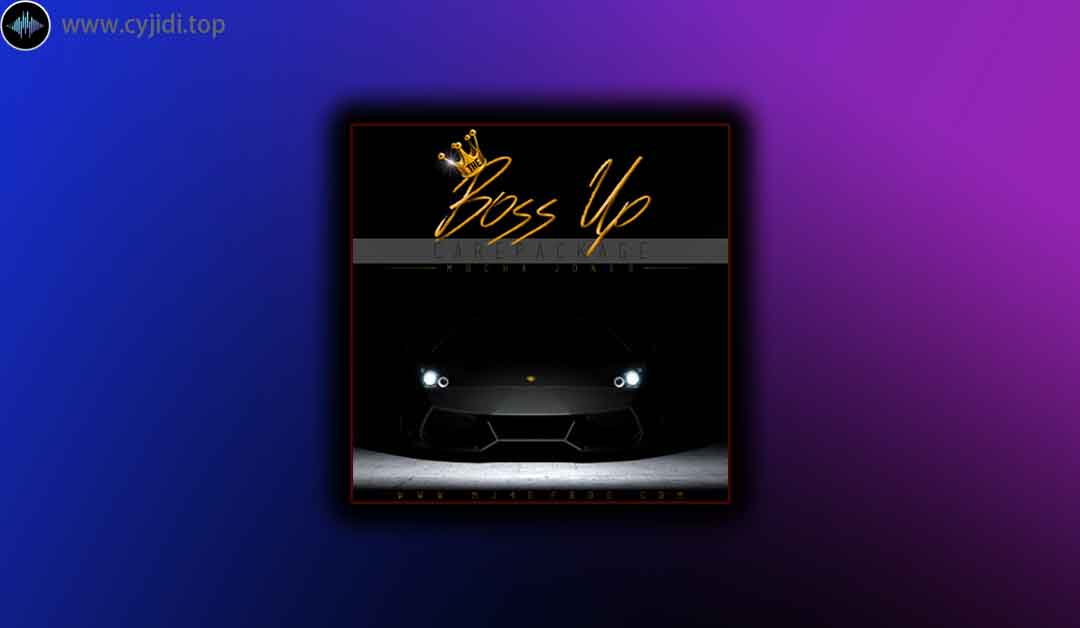 采样 – The Drum Bank – The Boss Up  （MASSIVE， MIDI， WAV）