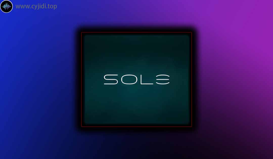 音源 – Fingerprint Audio – Sole （KONTAKT）