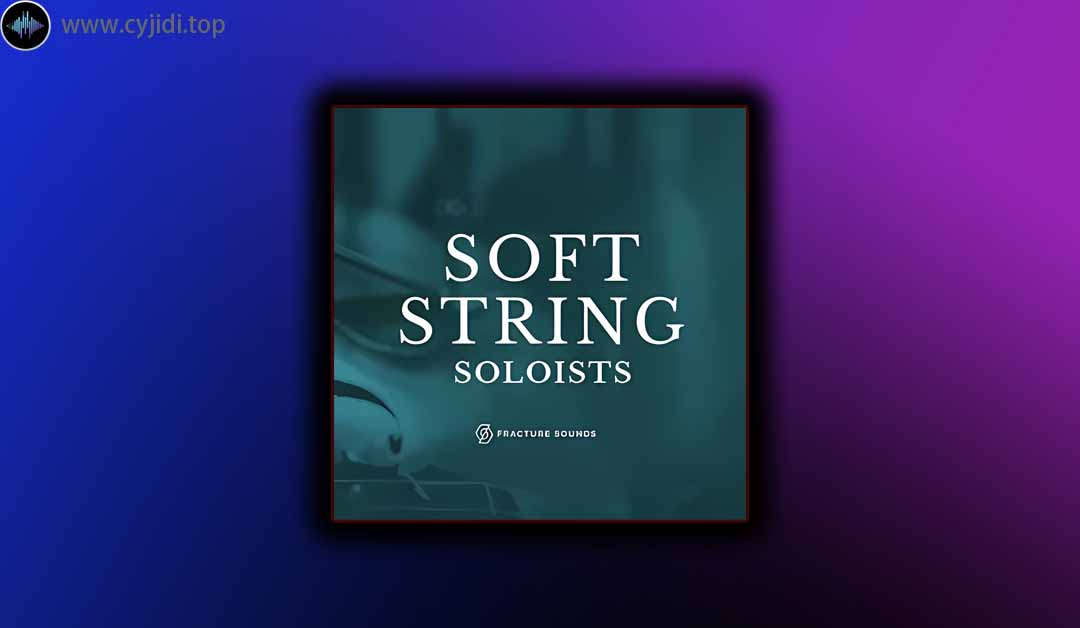 音源 – Fracture Sounds – 软弦独奏者 （KONTAKT）