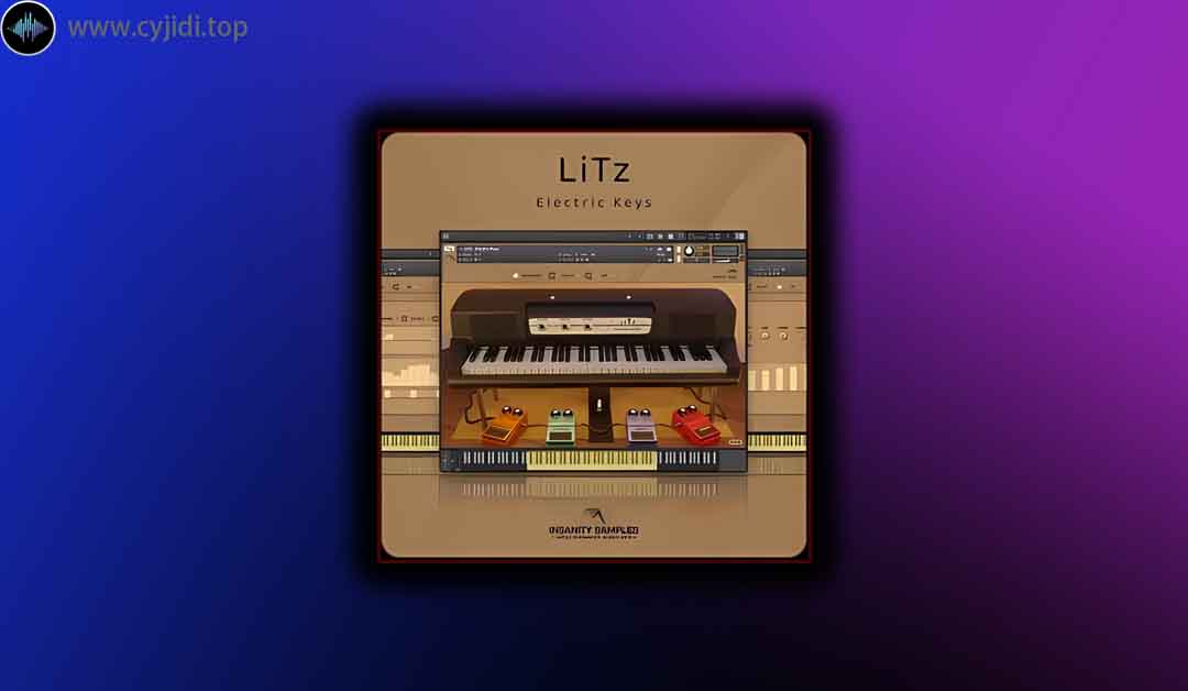 音源 – Insanity  – LiTz  电子琴 （KONTAKT）