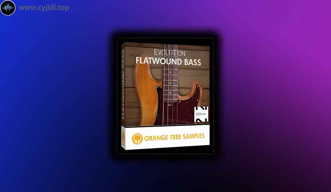 音源 – Evolution Flatwound Bass 1.2.5 – KONTAKT