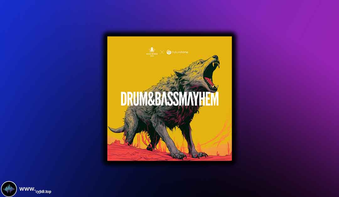 采样 – Futuretone Drum Bass Mayhem -（WAV、FXP）