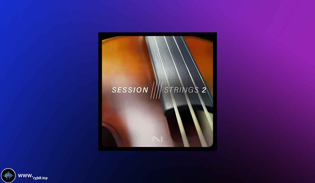 音源 – Native Instruments – Session Strings 2 – KONTAKT