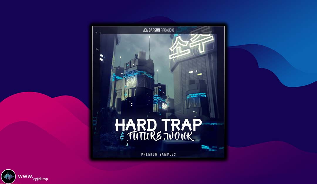 采样 – CAPSUN ProAudio – Hard Trap & Future Wonk （REX2， WAV）