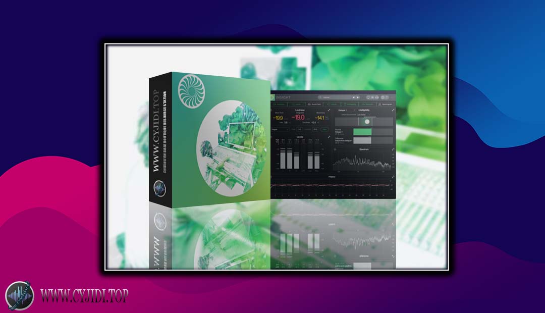效果器 – iZotope Insight Pro v2.6.0 响度/频谱分析（WIN）
