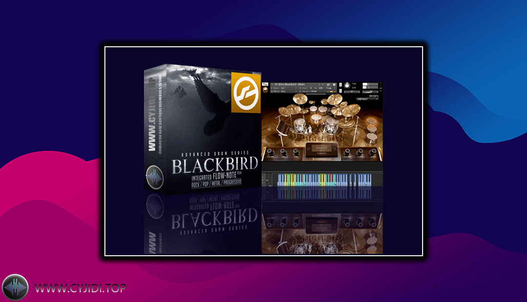 音源 – 8Dio  Blackbird 高级鼓（KONTAKT）