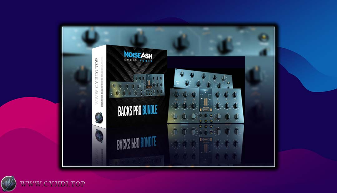 效果器 – NoiseAsh Audio Backs Pro Bundle v1.2.4复古硬件模拟（ WIN）