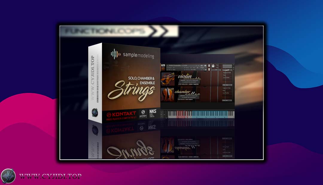 音源 – Solo and Ensemble Strings 弦乐独奏与合奏（KONTAKT）