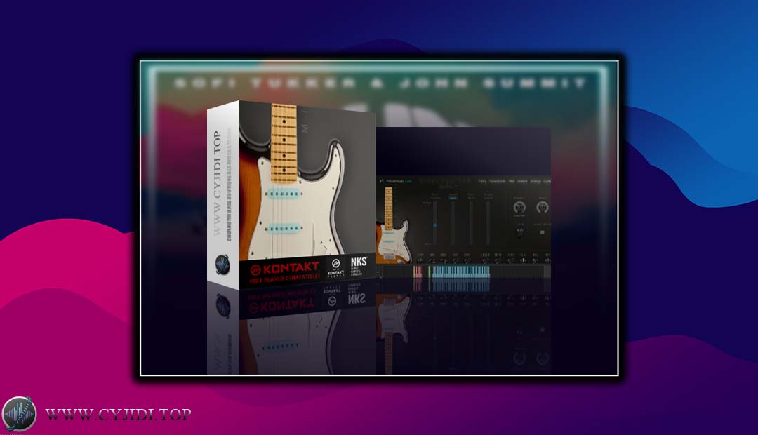 音源 – Pettinhouse – DirectGuitar 干声吉他（KONTAKT）