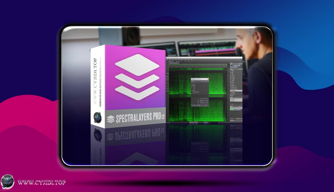 分离软件 – Steinberg – SpectraLayers Pro 12.0.0 人声伴奏分离降噪器·光谱层（WIN）