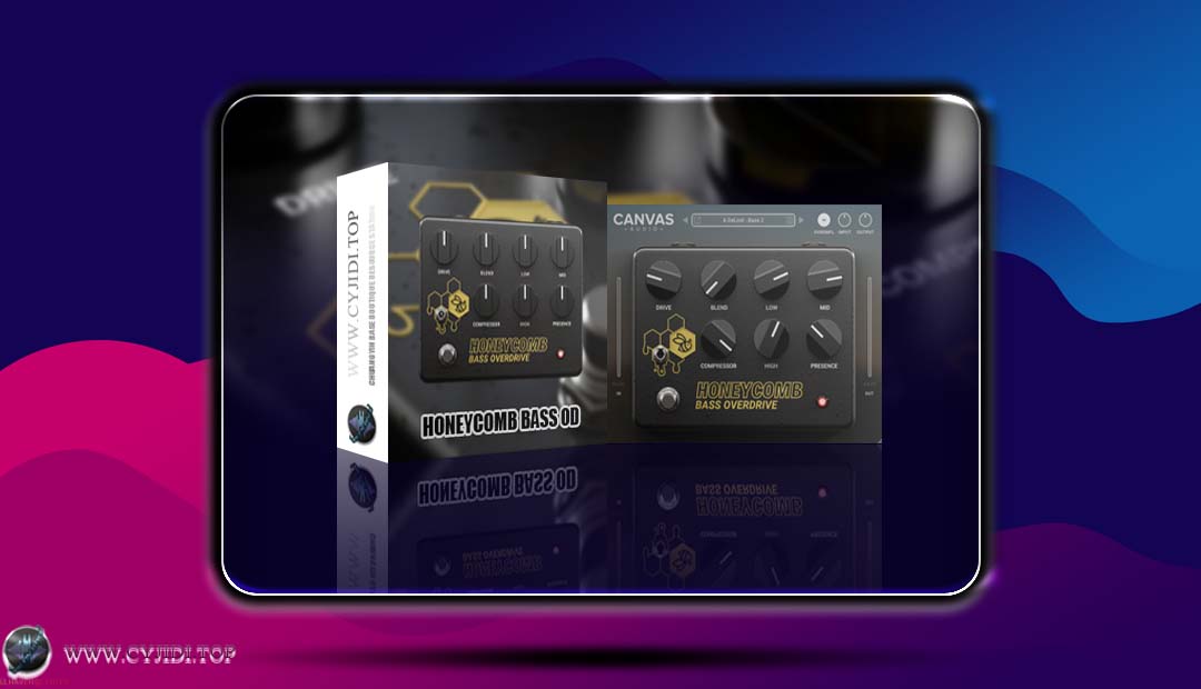效果器 – Canvas Audio Honeycomb Bass OD 贝斯过载失真效果器（WIN）