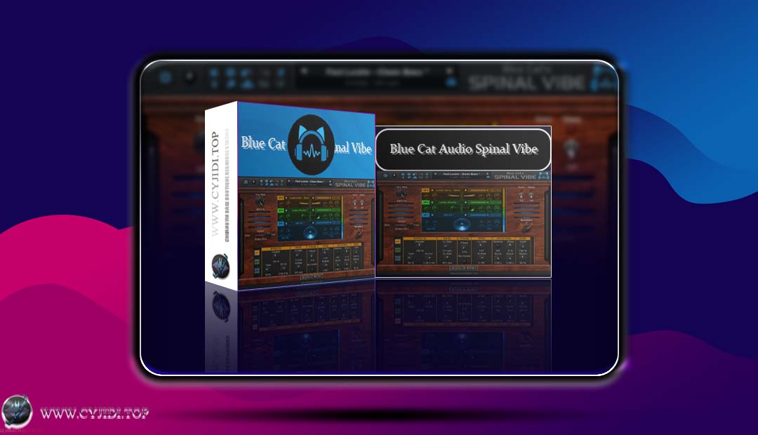 效果器 · Blue Cat Audio Spinal Vibe v1.0.1 · 扬声器模拟插件（WIN）