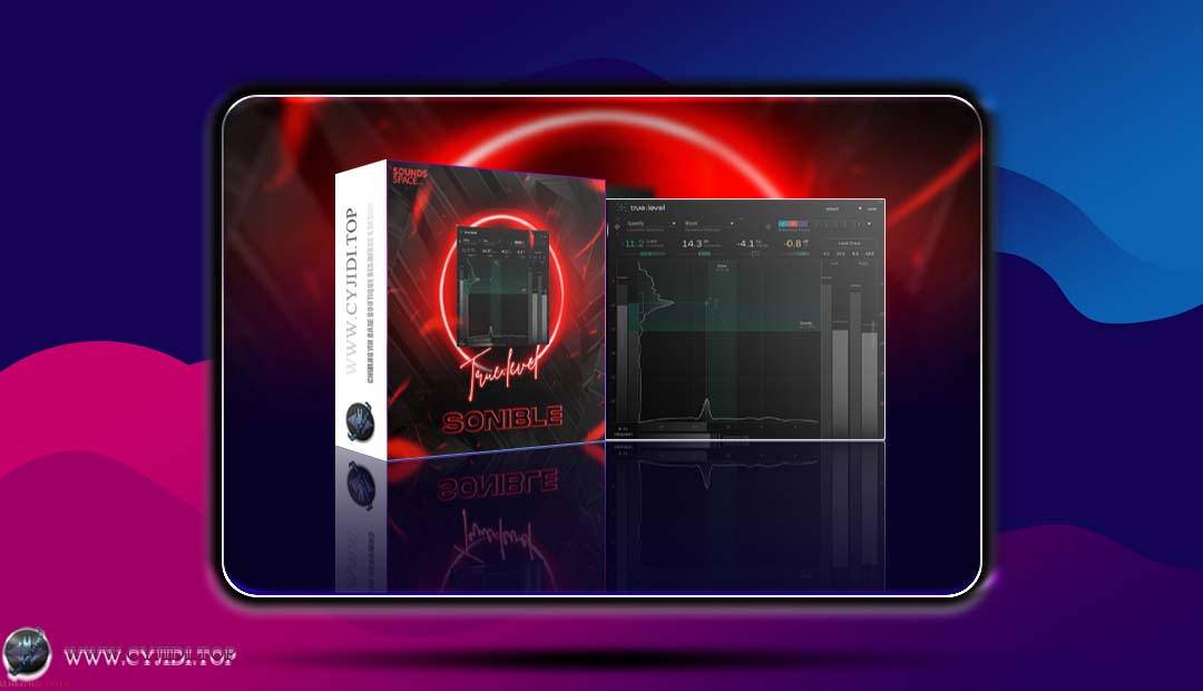效果器 · Sonible true:level v1.0.4 · 智能音频电平标准化插件（WIN）