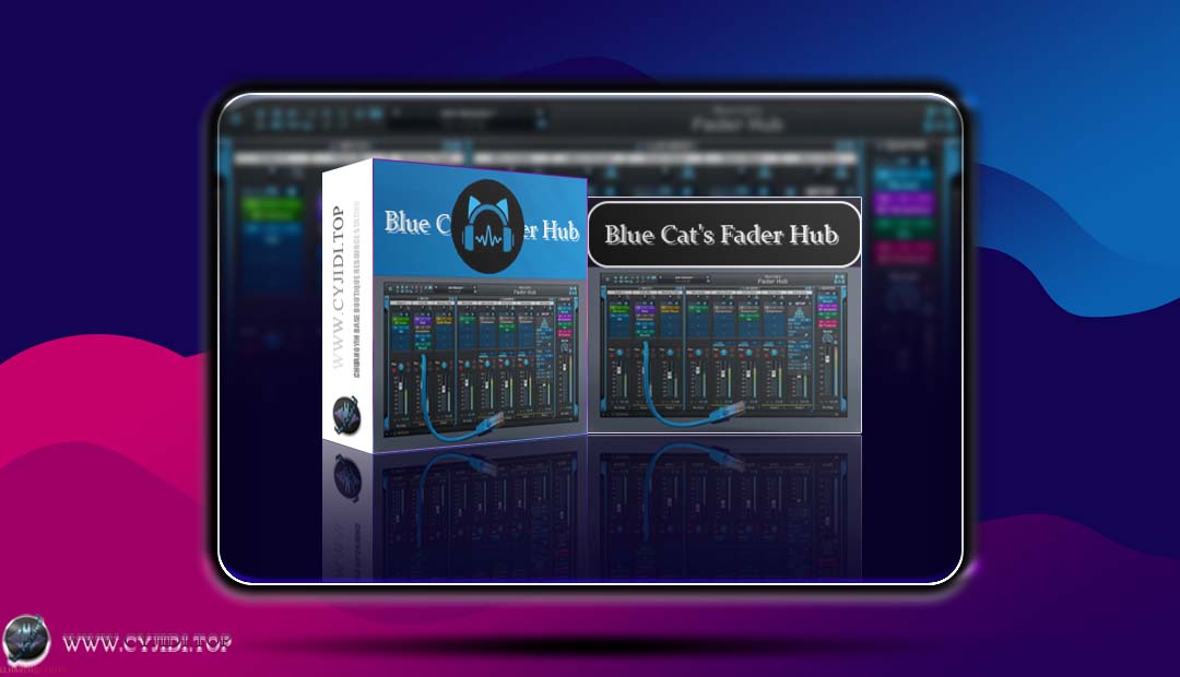 效果器 · Blue Cat’s Fader Hub v1.21 · 实时音频链接器（WIN）