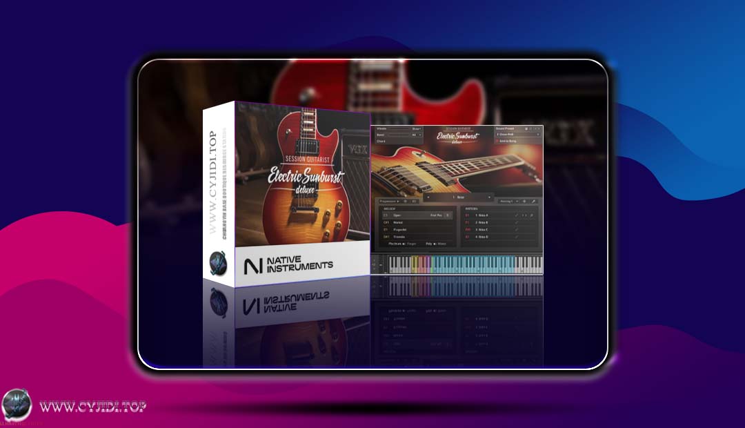 效果器 · Session Guitarist – Strummed Acoustic Library · 专业级电吉他（WIN）