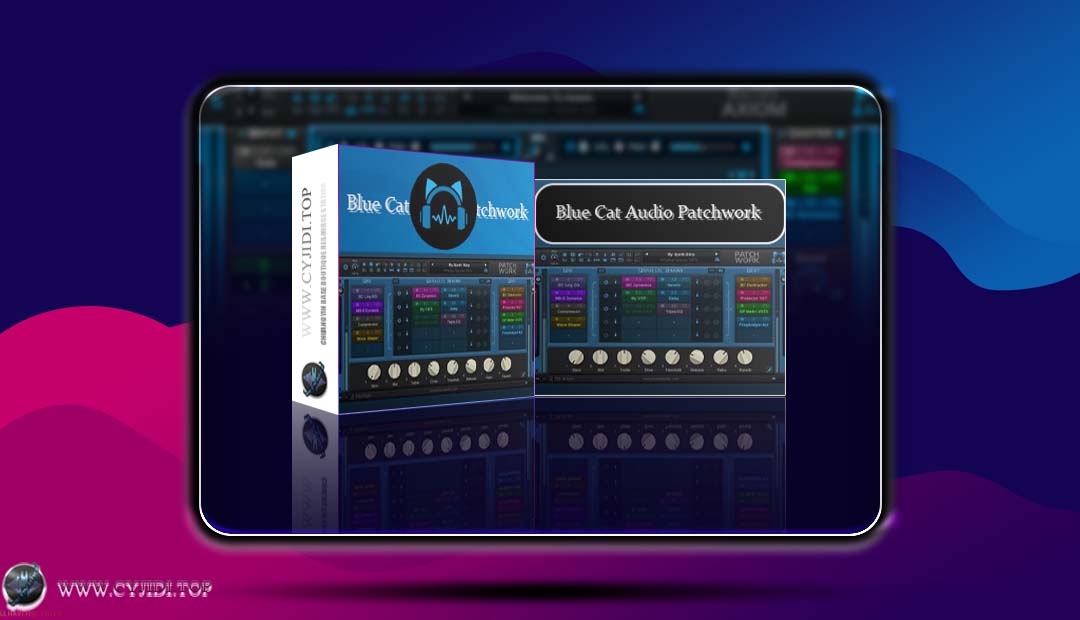 效果器 · Blue Cat Audio Patchwork v2.73 · 多效果处理器（WIN）