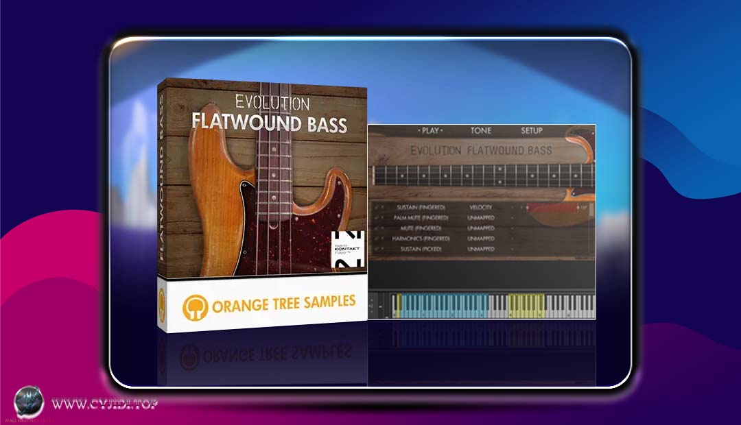 贝斯音源 | Orange Tree Samples – Evolution Flatwound Bass 1.3.5 | KONTAKT